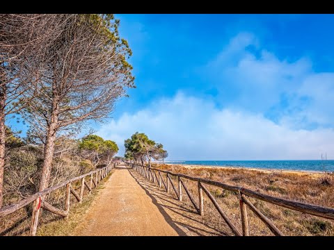 Видео: Bibione /Italy Summer Bike Tour  на велосипеде по побережью 4K UHD