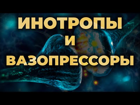 Видео: Вазопрессоры и инотропы. Как они работают и какой выбрать (Адреналин, Норадреналин, Допамин)?#ПроСМП