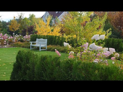 Видео: Уют и красота Идеи для ландшафтного дизайна / Comfort and beauty Ideas for landscape design