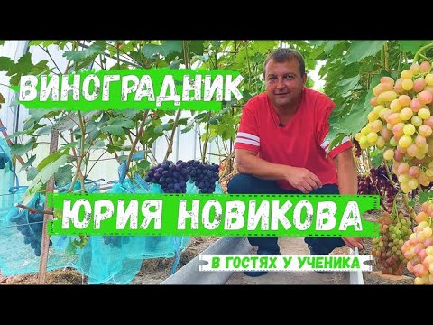 Видео: В гостях у моего друга и ученика Юрия Новикова
