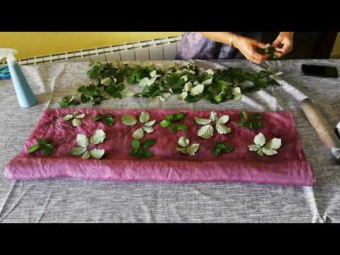 Видео: крашение листьями