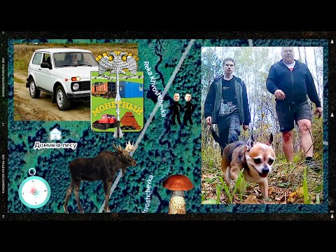 Видео: Монетный. В поисках лесной избушки. 