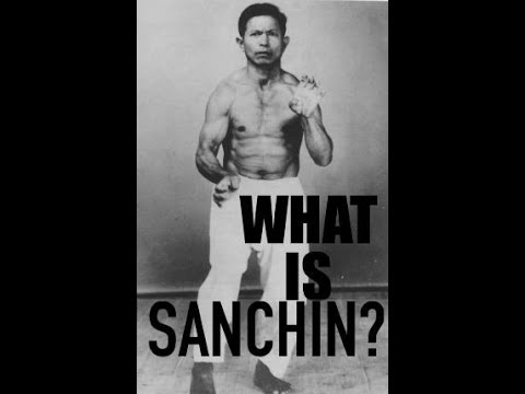 Видео: ЧТО ТАКОЕ САНЧИН