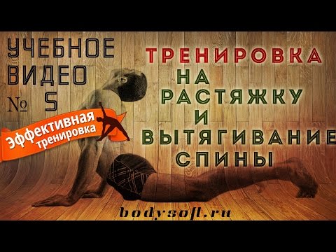 Видео: Асаны на вытягивание позвоночника и растяжку