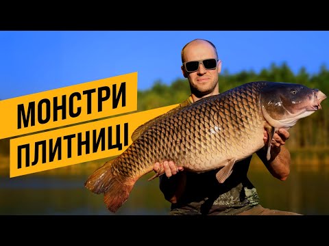 Видео: МОНСТРИ ПЛИТНИЦІ! BIGFISH ВОДОЙМИ! ПОТУЖНА РИБОЛОВЛЯ! ЯК ЦЕ БУЛО?!