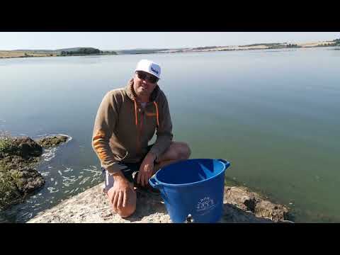 Видео: Как да си приготвим пелетите за риболов с методфидер.