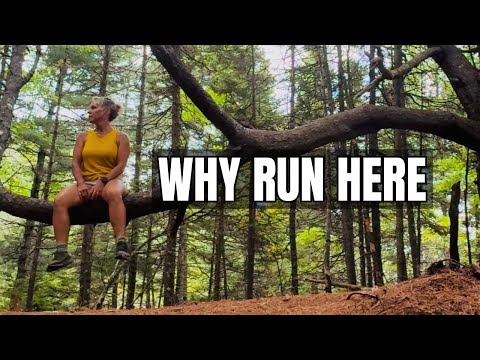 Видео: Почему любителям бега по пересеченной местности и пешего туризма понравится Indian Path Common