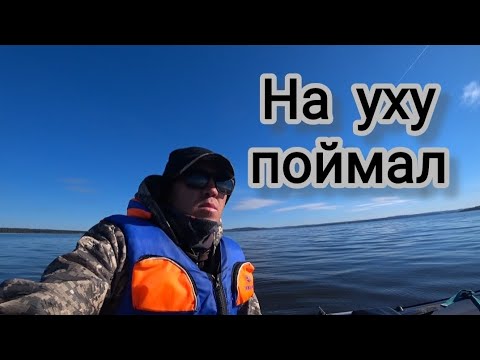 Видео: Рыбалка осенним утром. Поймал щуку.