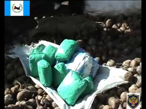 Видео: посвящается фскн-братска, иркутска