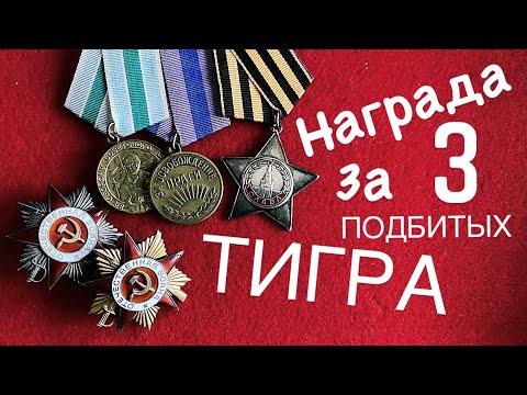 Видео: Награда за три подбитых ,, Тигра ,,