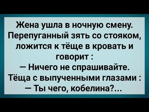 Видео: Как Зять Ночью Тещу Напугал! Сборник Свежих Анекдотов! Юмор!.
