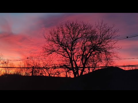 Видео: Една обикновена събота