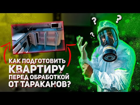 Видео: Как подготовить квартиру перед обработкой от тараканов!