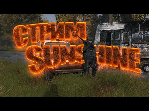 Видео: Иностранка Ночь🌙 в ЧЗО Dayz RP stream ☀️ SUNSHINE ☀️