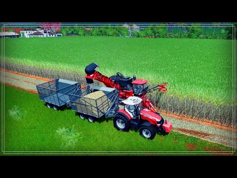 Видео: Farming Simulator 17 (CoursePlay) Уборка сахарного тростника.