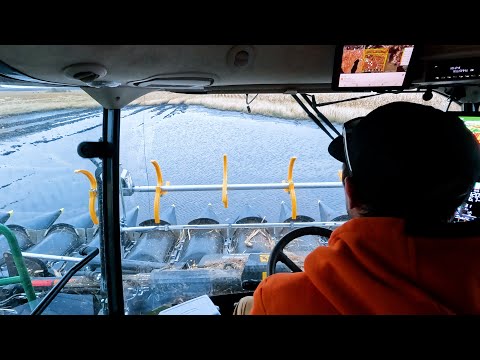 Видео: Добро пожаловать в фермерство в стране 10 000 озёр! Эпизод 25