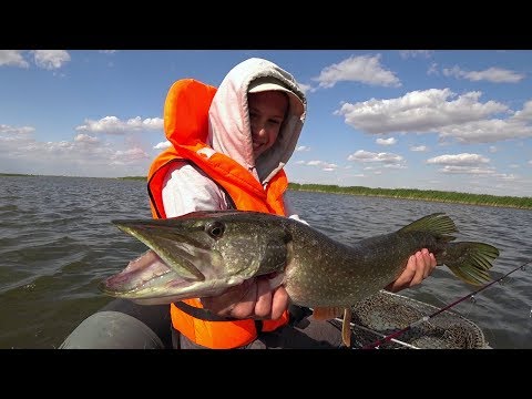 Видео: ЩУКИ И ОКУНИ СОЛДАТСКОГО ОЗЕРА ЖАДНО ГЛОТАЛИ НАШИ ПРИМАНКИ! РАБОТАЛО ВСЁ, ЖЕЛЕЗО, ВОБЛЕРА! КАЗАХСТАН
