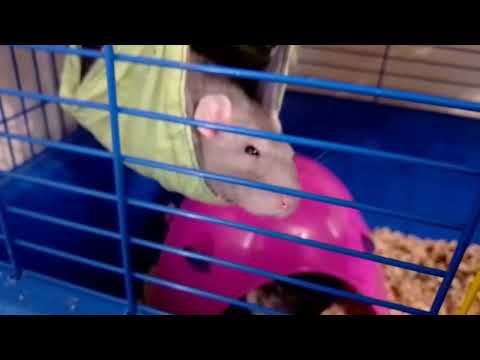 Видео: 3 жовтня 2025 р.