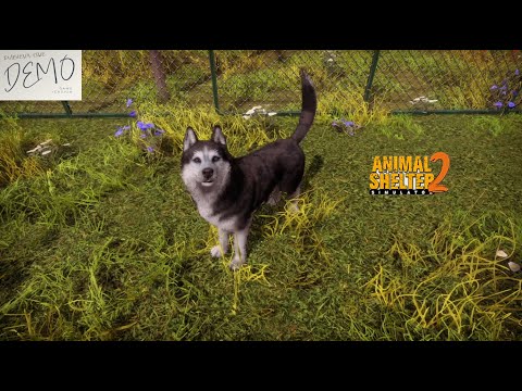 Видео: БАГИ, СВЕТОВАЯ ЭКПРЕССИЯ И ХАСКИ ➤ Animal Shelter 2 ★Демо-Версия★