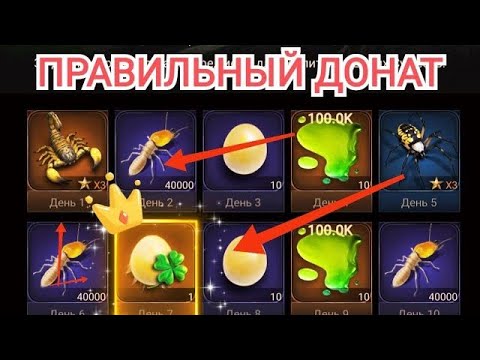 Видео: The Ants ДОНАТ | Как не нужно вкладывать деньги. | The Ants Underground kingdom