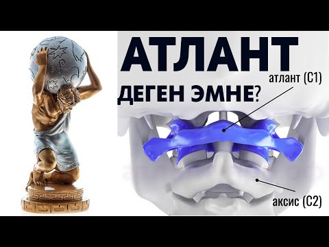 Видео: Атлант деген эмне? | Моюн оорулар