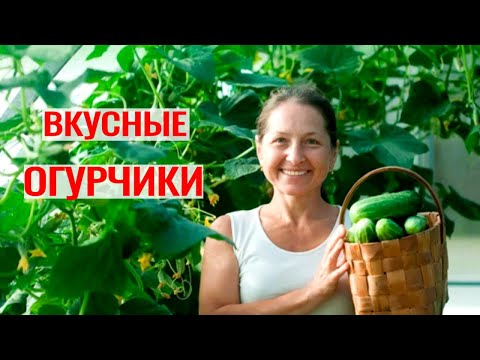 Видео: 8 Способов Как Дольше Сохранить Огурцы Свежими в Домашних Условиях