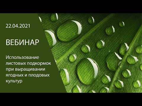 Видео: Вебинар«Использование листовых подкормок при выращивании ягодных и плодовых культур»