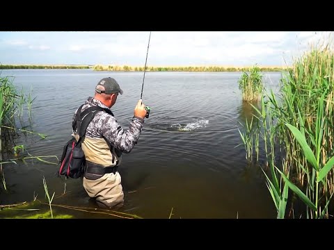 Видео: Рыбалка на МикроДжиг! КАК ВЫБРАТЬ? Спиннинг/Катушку/Приманки/Груза/Крючки!