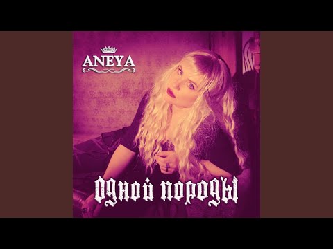 Видео: Одной породы