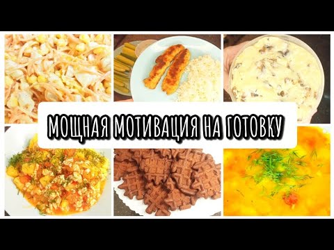 Видео: ГОТОВЛЮ НА НЕСКОЛЬКО ДНЕЙ 🥗🍜 ГОТОВЛЮ НА БОЛЬШУЮ СЕМЬЮ 🧇🍲 МОТИВАЦИЯ НА ГОТОВКУ