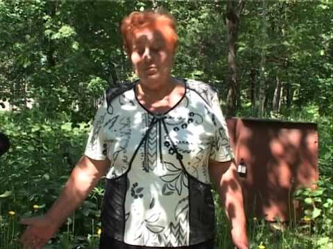 Видео: "Шумерля 95-лет" Городской Парк г. Шумерля Новая Реальность