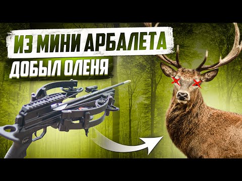 Видео: Самый ЛУЧШИЙ и Мощный АРБАЛЕТ ДЛЯ ОХОТЫ на крупного ЗВЕРЯ! DOOM MINI. На что он СПОСОБЕН?