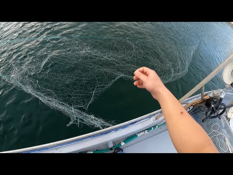 Видео: Я установил дешевую сеть, которую купил на AMAZON.