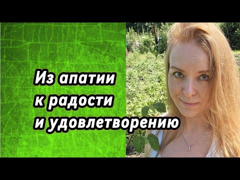 Видео: Как выйти из апатии и начать радоваться жизни? #психолог #психология #желания #мышление