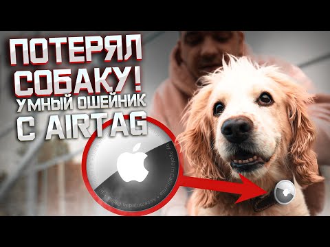 Видео: Потерял собаку! Ищем с помощь УМНОГО ОШЕЙНИКА AirTag.