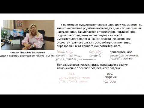 Видео: Тимошенко Н.П. Латинский язык. Грамматические категории существительного