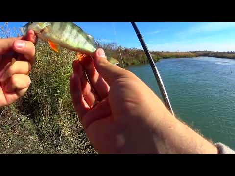 Видео: Дали воду в Егорлык Рыбалка в Ставрополе