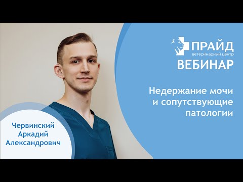 Видео: Недержание мочи и сопутствующие патологии