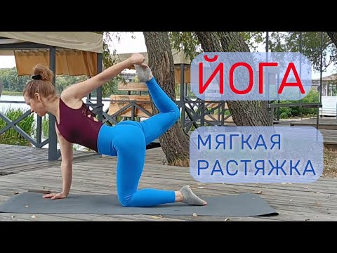 Видео: 🌿ЙОГА РАСТЯЖКА | 15 минут Йоги для гибкости и лёгкости