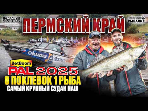 Видео: УДАЧА РЕШАЕТ / BetBoom PAL 2025 Пермь / Самый крупный СУДАК этапа НАШ