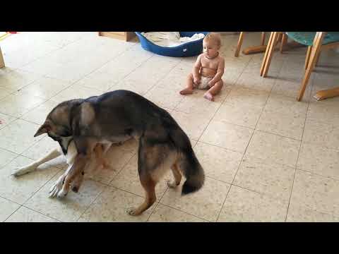 Видео: Как занять малыша и успеть сделать дела по дому?