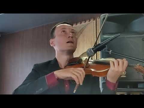 Видео: Мелодия из фильма  «Профессионал»  с  Жан-Поль Бельмондо. Ennio Morricone.Скрипка Никита Лисицкий