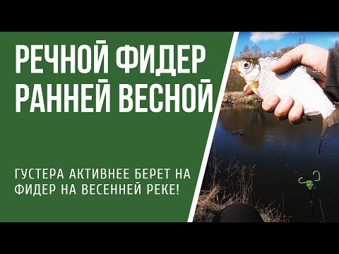 Видео: С фидером на реке ранней весной 2020