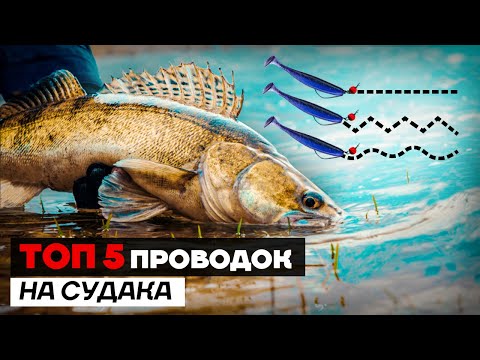 Видео: Как ЛОВИТЬ судака ЭТОЙ ОСЕНЬЮ? Лучшие проводки для ловли судака на спиннинг с берега и с лодки!