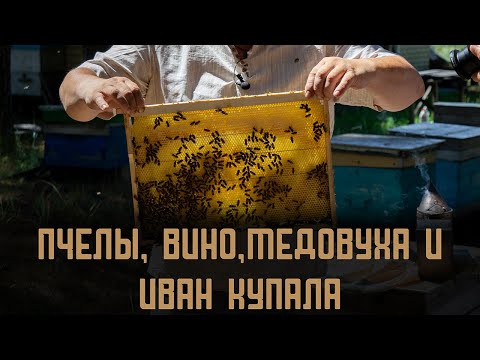 Видео: Пчелы, вино, медовуха и Иван Купала