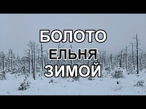 Видео: БОЛОТО ЕЛЬНЯ ЗИМОЙ/НОЧЬ на БОЛОТЕ/рыбалка на Озеро ЕЛЬНО/YelNya Trip/изба отшельника