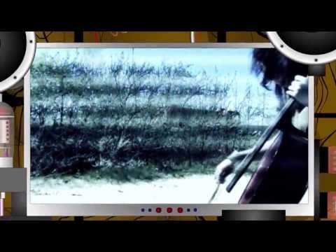 Видео: Шмели & FRAM - Нет Выбора