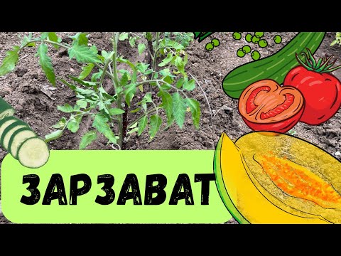 Видео: 🍅 Как засадихме нашата градина за един ден! 😀🍉