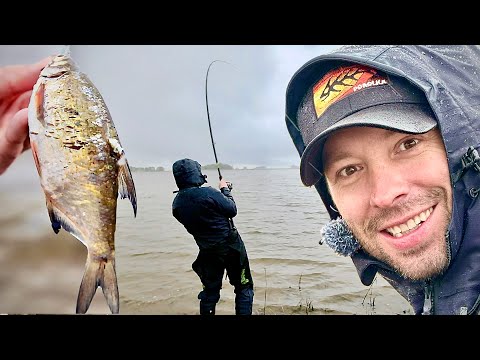 Видео: ЩУКА чуть не утащила ДОНКУ! Фидерное турне, серия 2. Болгары