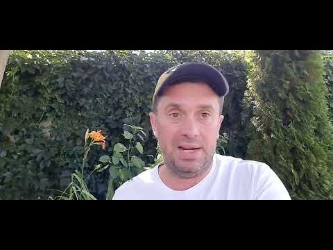 Видео: Стоимость и способы доставки авто из Владивостока в Москву / Автоперегон / Автовоз / ЖД доставка